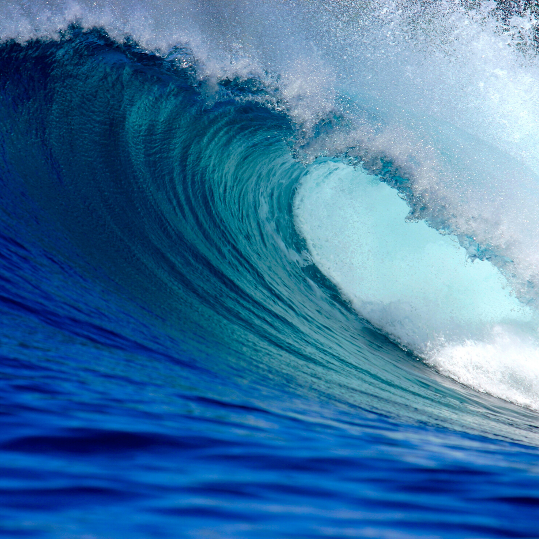 Those waves of emotion are like waves in the ocean. - 