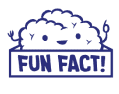 Fun Fact