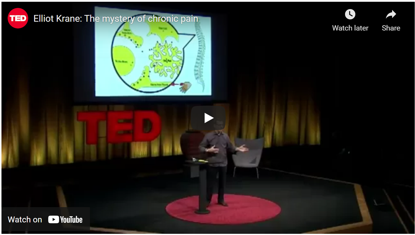 TED Talk Pain As A Disease Meg Foundation